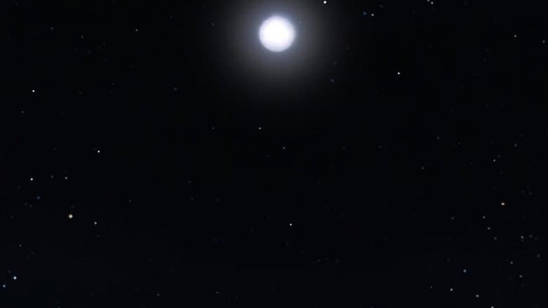 Longa Noite