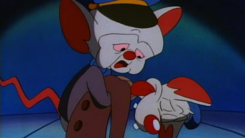 Ratos de Labolatório