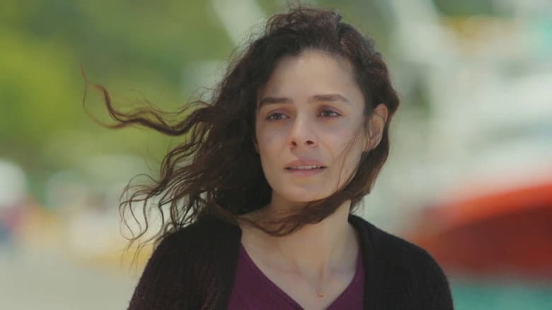 Episódio 29