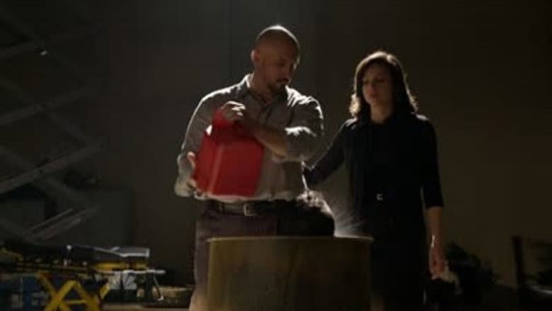 Episódio 12