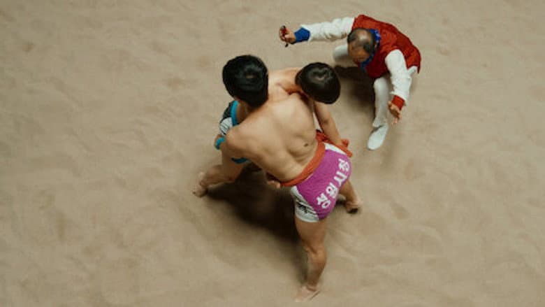 Episódio 12
