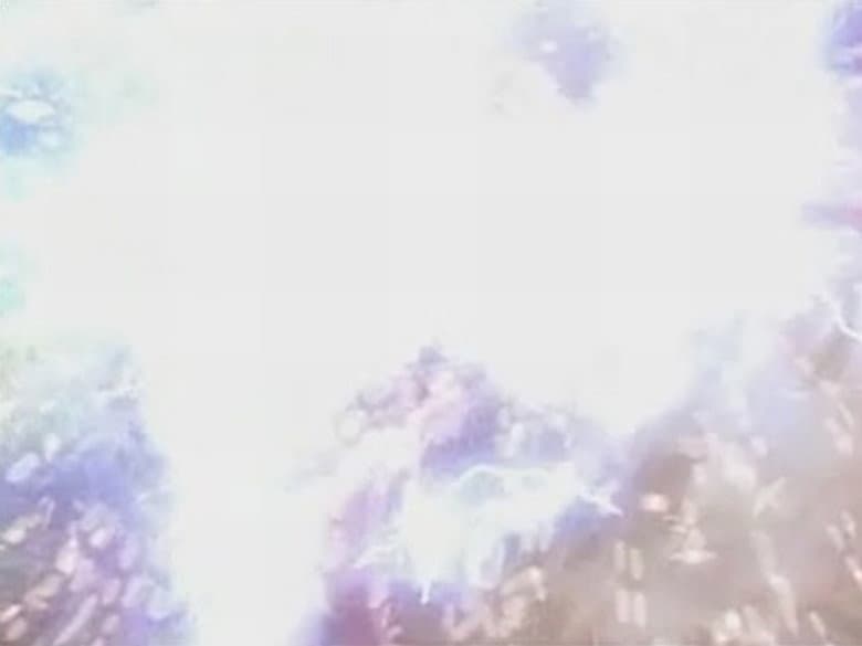Episódio 11