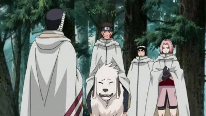 A Determinação de Sakura