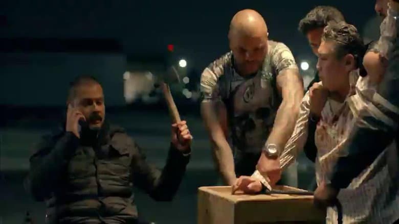 Episódio 12