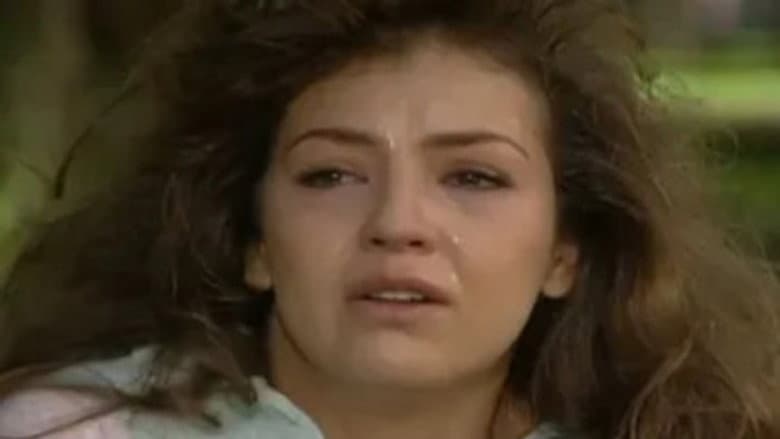 Episódio 24