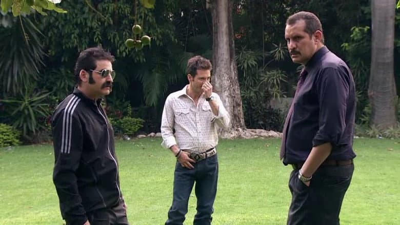 Episódio 14