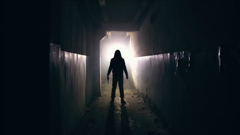 Episódio 15