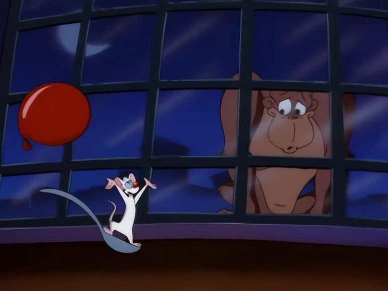 Episódio 36