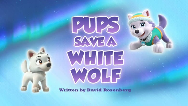 Os Filhotes Salvam um Lobo Branco