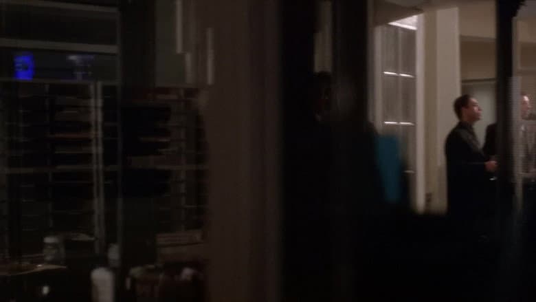 Episódio 8