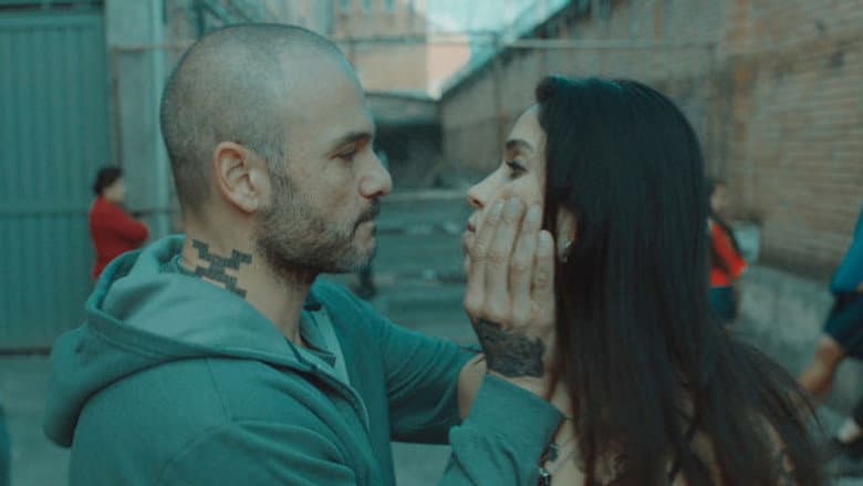 O traidor