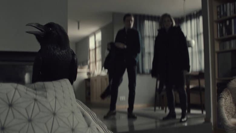Episódio 8