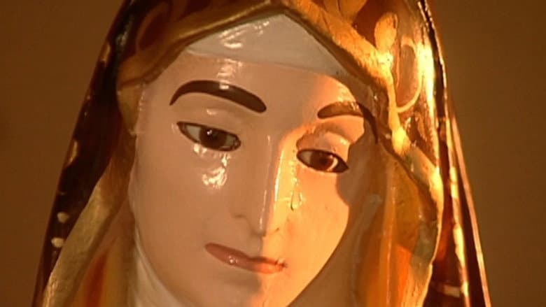 Episódio 29