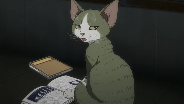 D-REX, o gato do planeta brincar
