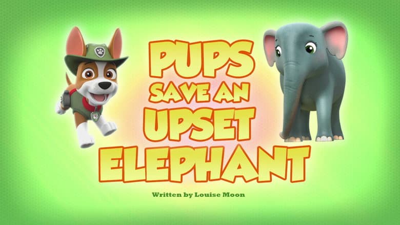 Os Filhotes Salvam um Elefante Irritado