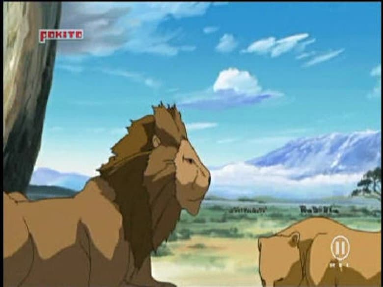 Rino ou Dino?