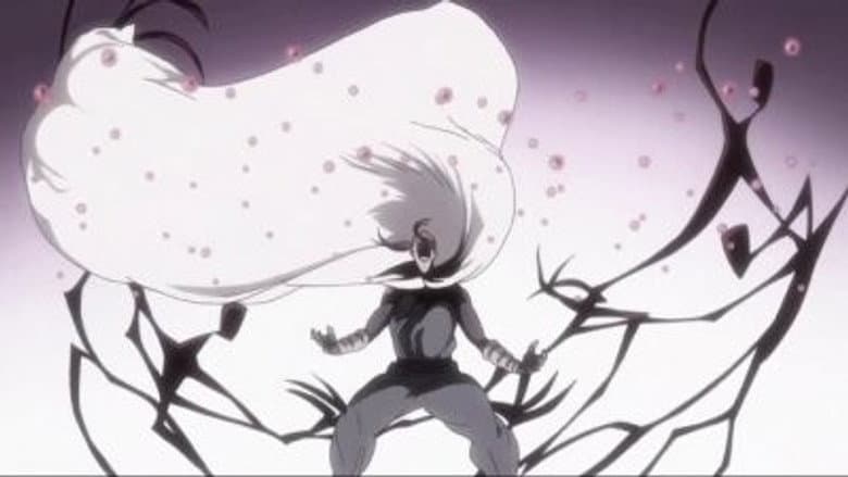 Tsubaki, A Flor De Camélia. O Que Há Além Da Tristeza?