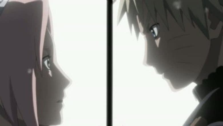 Os Sentimentos de Sakura