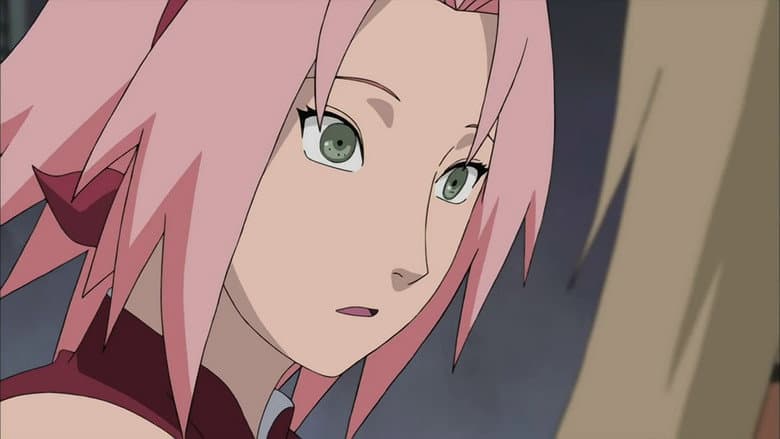 O Caminho de Sakura