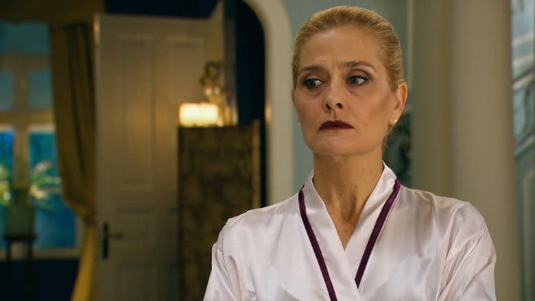 Episódio 75 - Muito Mais que um Sonho, Sobre Rodas