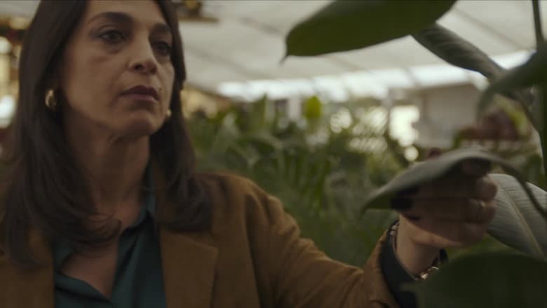 Episódio 5