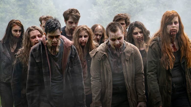 Episódio 7