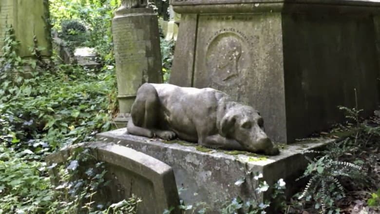 Cães do Além