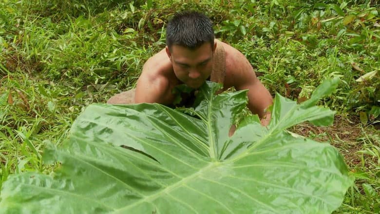 Encharcados e Pelados
