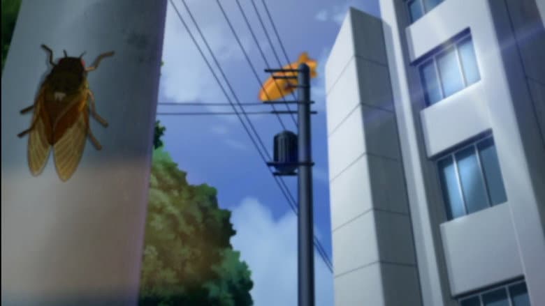 Episódio 11