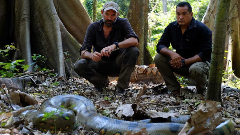 Episódio 5