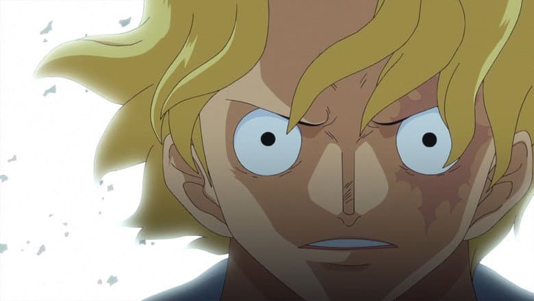 O Laço dos Irmãos! A História Inédita do Reencontro de Luffy e Sabo!