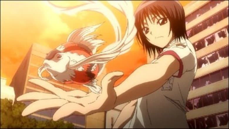 Episódio 11