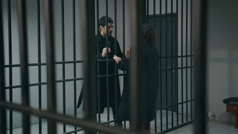 Episódio 81