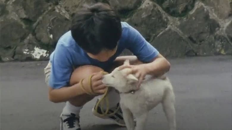 O Cachorro Bomba