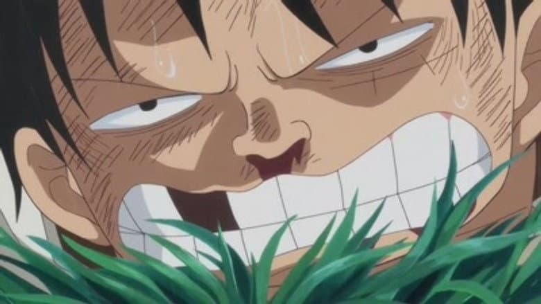 Eu Vou Esperar Aqui! Luffy vs. o Exército Furioso!