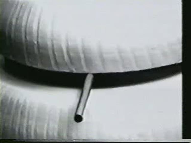 Episódio 3