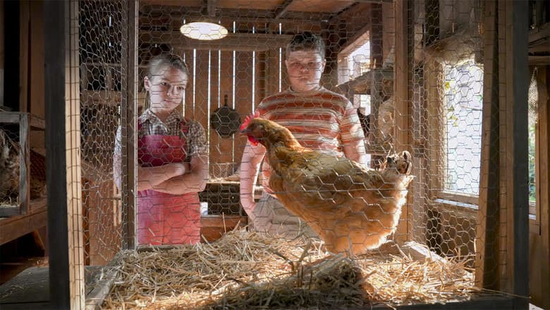Uma Galinha Viva, Frango Frito e o Sagrado Matrimônio