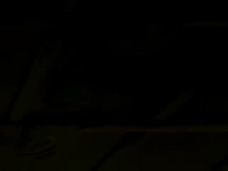 Pássaros sem asas