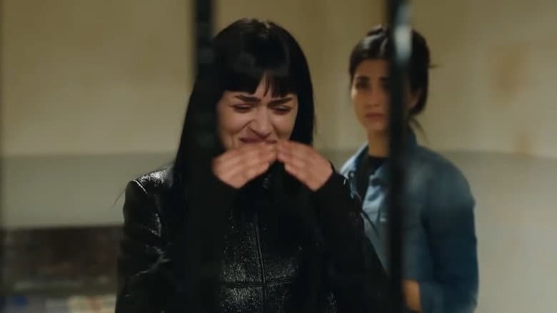 Episódio 30