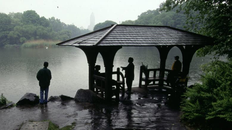 Esfaqueamento no Central Park