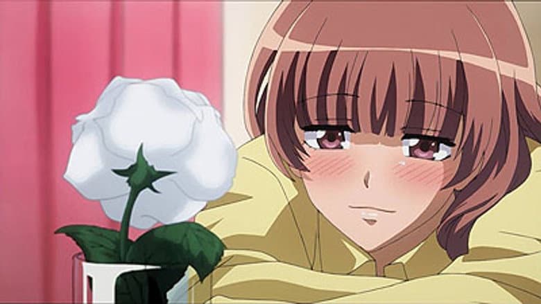 O amor da gravadora independente de Sakura