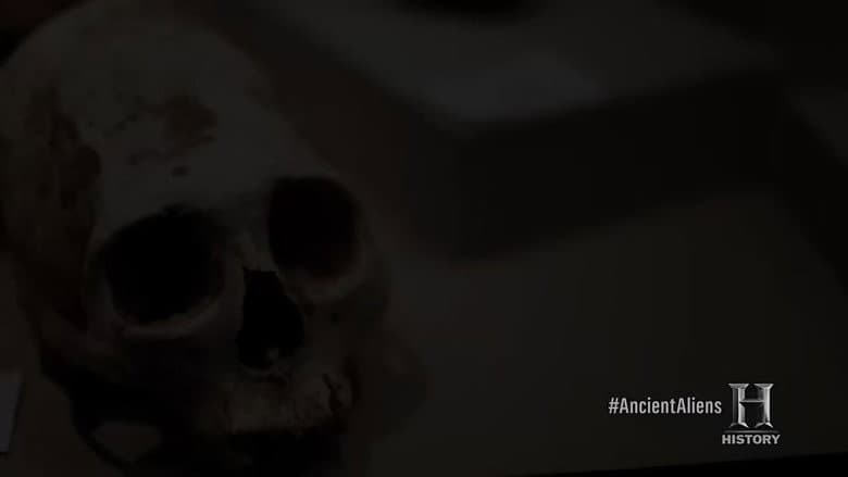 Evolução Alienígena