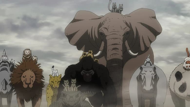 Episódio 11