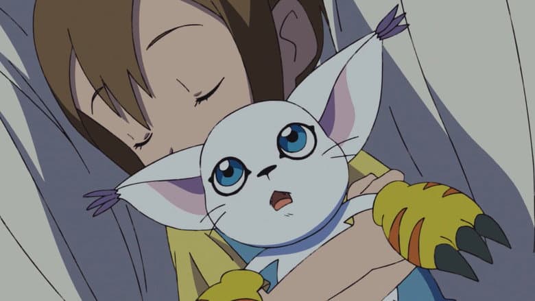 Hikari e Tailmon