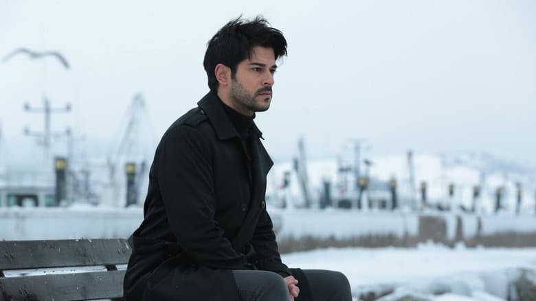 Episódio 17