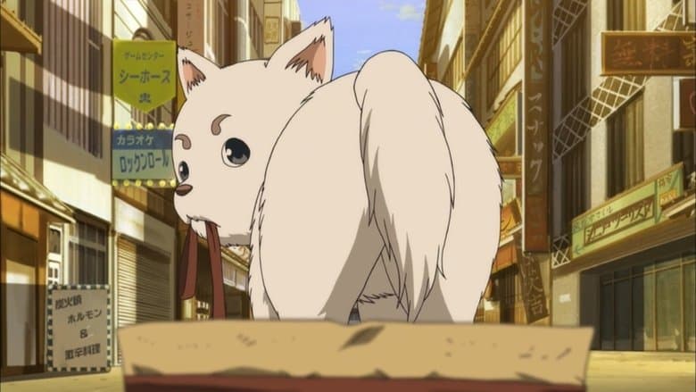 Comida de Cachorro Não Tem o Gosto que você Pensa