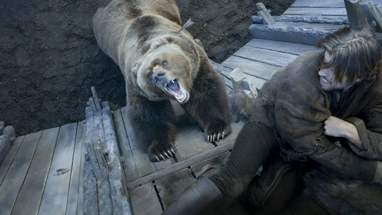 O Urso e a Bela Donzela