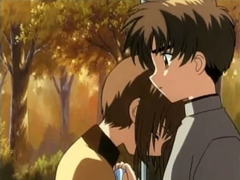 A Pessoa Mais Especial Para Sakura