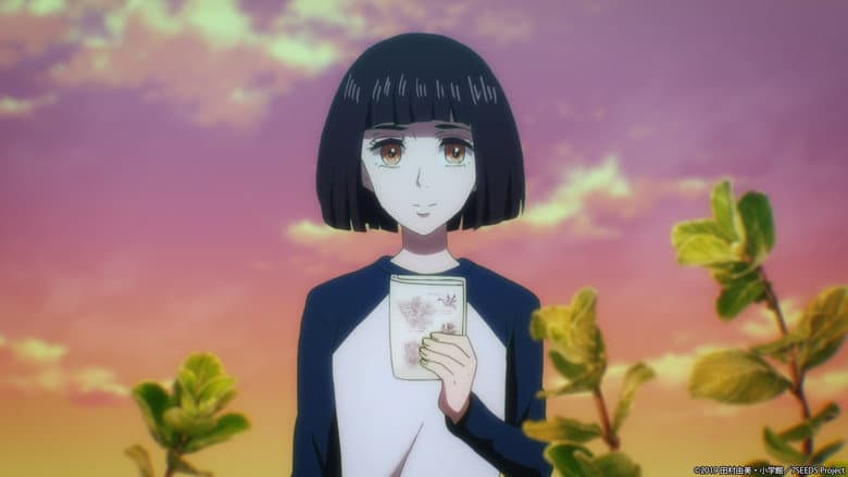 Episódio 15