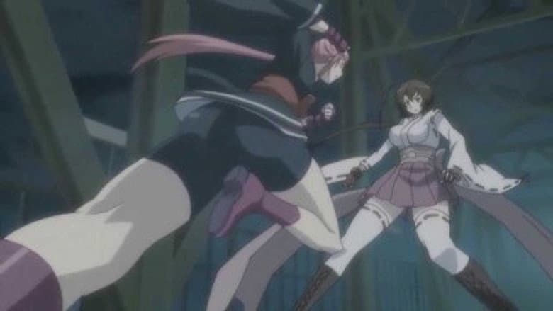 Episódio 11
